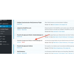 Pasarela de pago Redsys + BIZUM para WooCommerce